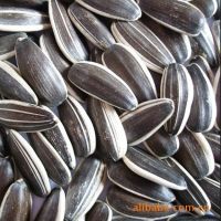 SUNFLOWER SEEDS