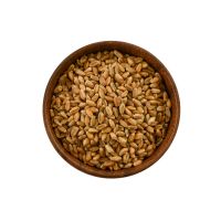 High Quality Durum Wheat With Natural Protein Content And Rich Durum Wheat Grain Ideal For Bulk Wholesale And Export