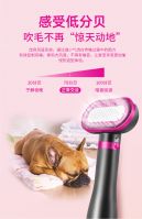 Upgraded Pet Hair Dryer Brush, 2