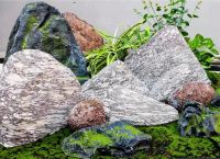 The Most Popular Simulated Stone Moss