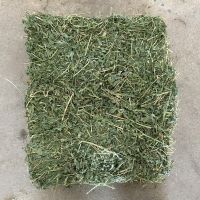 Alfalfa Hay  High Quality Italy