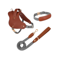 Adjustable  Pet Training leather Dog Collar harness leash