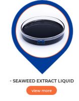 seaweed extract organic fertilizer for vegetables and fruits