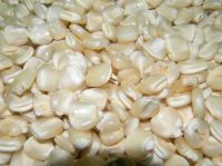 White Corn Grains Food Grade 