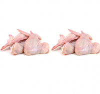 Halal Frozen Chicken Joint Wings / Frozen Whole Chicken