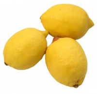 Wholesale FRESH LEMON fruits fresh citrus fruits