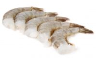 Ecuadorian Shrimp - P&amp;D