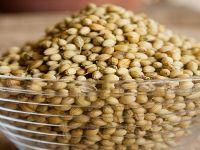 Corn Gluten Meal,Coriander Seeds.Conscious Food Pigeon Pea,CHIA SEEDS,Cumin Seeds,Fennel Seeds,Fenugreek Seeds,flax seeds,Fissh meal,Green Cardamom