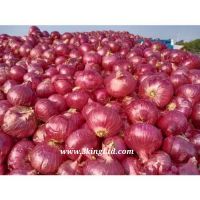 RED ONIONS