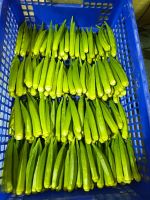 Fresh Okra