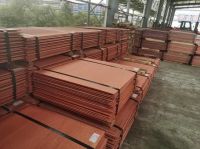 High Purity 99.99% Cathode Copper Plate C17200 C17500 C5191 50mm Thick Copper Sheet.