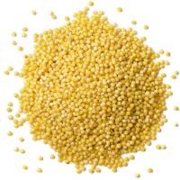 Natural and Organic Millet Seeds