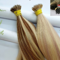 Premium Vietnamese Tip Hair Extensions (I