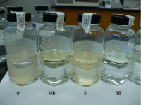 Jet fuel grade A1 and grade 54, Diesel D2, Urea, Virgin D6, LCO, LPG, LNG, EN590 and otherÃÂ oilÃÂ products.