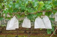  fruit protective bags&iuml;&frac14;Loquat bag,Tomato bag, Guava bag
