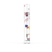 5.5ml Empty PETG Lip Gloss