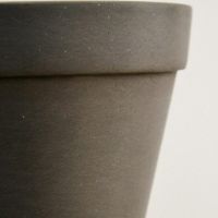 Black Sesame Series