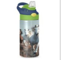 Stainless steel children's water bottle