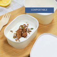  Ice Cream Square Box Container Freezer