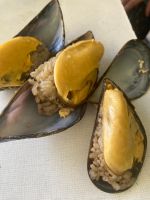 Stuffed Mussel