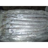 Ribbon Fish