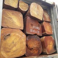 Beech Wood Logs / Sawn Spruce Wood