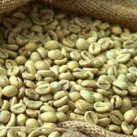High Quality Robusta Coffee Beans 20kg