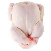 High Quality Chicken Frozen Wholesale Cheap