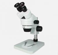 Stereo Microscope