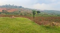 Industrial Land Leasing Opportunities And BOT