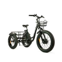 T4B Trike