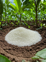 Magnesium Sulphate