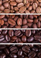 Arabica Coffee Beans