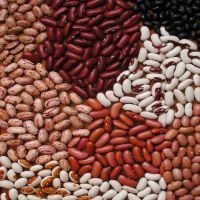 SPECKLED KIDNEY BEANS(NON GMO)