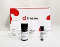 Polymer-HRP Anti-Mouse/Rabbit IHC