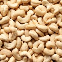 Cashew