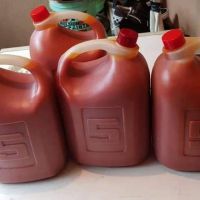 Palm Oil