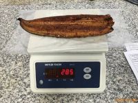 Frozen roasted EEL test Inspection third-party QC inspector final random Quality Control Service in China