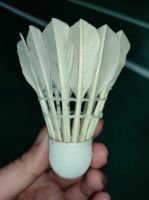 Custom Shuttlecock Grade A