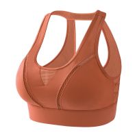 High-Impact Plus Size Sports Bra