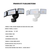 LED Outdoor Three Head Detection With