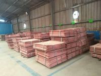 Factory Price Copper Cathode Plates/Copper