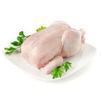 Halal Certified Chicken Breast Frozen Boneless