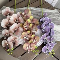 Wholesale Artificial Phalaenopsis Faux Flowers For