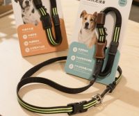 Gentle Guide Leash
