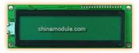 LCD module