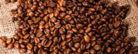 Brazilian Coffee