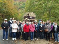 Explore The Best Bus Tours From