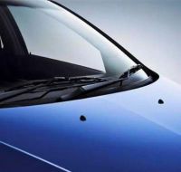 windshield