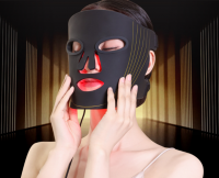 Photon Mask Instrument  Model 2311